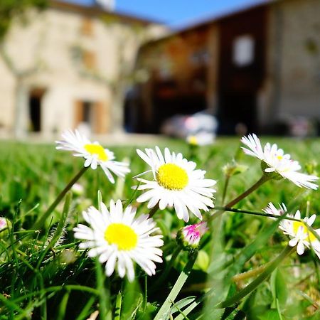 La Ferme Des Denis Chambres DhotesChanos-Curson エクステリア 写真